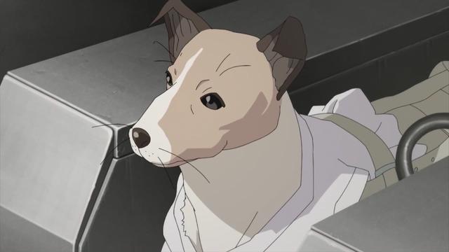 这个10月有看点，新番动画《月亮与莱卡与吸血公主》制作十分精良