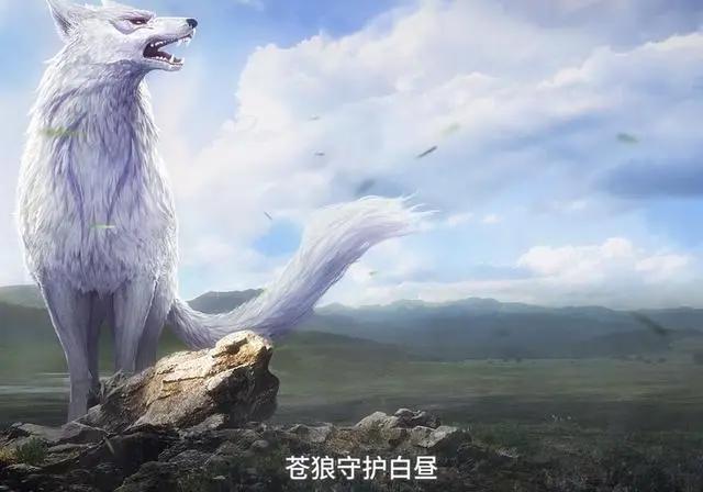 《定海浮生录》优美经典的语录，你在的地方，就是我的温柔乡！