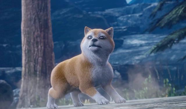 定海浮生录上演人不如狗系列，小狗能力碾压主角，星星只会点灯？