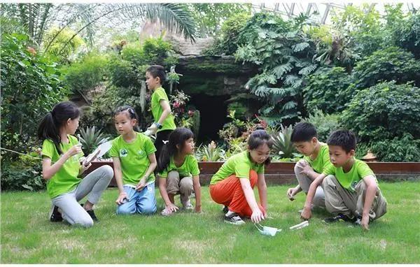 辰山植物园“无痕山林”迷你剧场唤醒小朋友生态环保意识