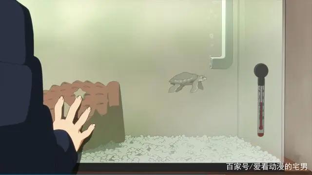 轻音少女：少女们摸的石乌龟代表着什么意思？答案令人感到意外