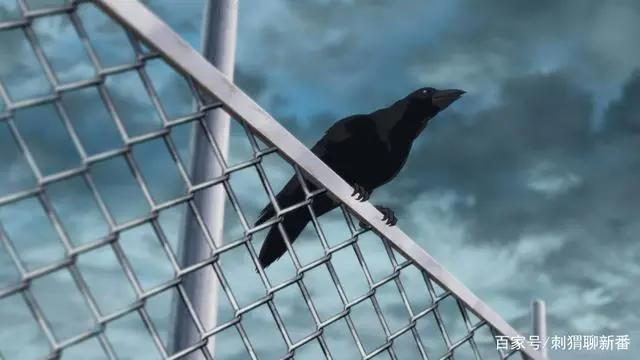 新番点评：看得见的女孩