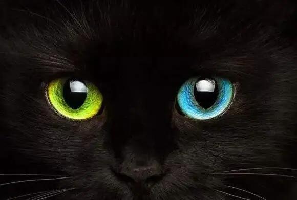 有一双阴阳眼是什么体验？这漫画告诉你，分辨不出虚幻与现实