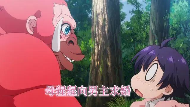 肥胖男主穿越异世界变帅哥，还被母猩猩告白了，新番动漫太搞笑了