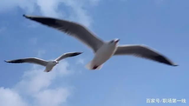 用阴谋诡计战胜对手不是本事，是职场人格丧失，是你未来的隐患