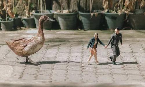 解密山海经：上古小人国，身高不足10厘米，蝴蝶当飞机蜣螂犁地