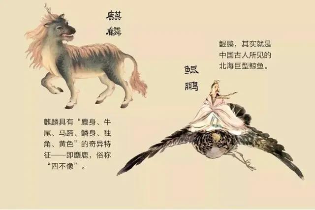 《山海经》动画3天只有1000万！中外合拍，难道已成烂作代名词？