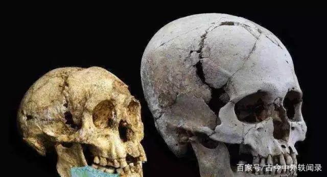 《山海经》中记载的小人国居然真的存在！堪称现实版霍比特人