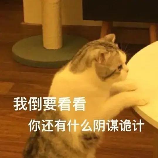 《春秋封神》今日开播，后续剧情重要伏笔被曝光