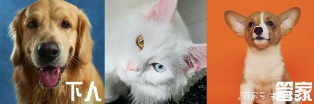 《春秋封神》这番也太有意思了国产动画崛起了