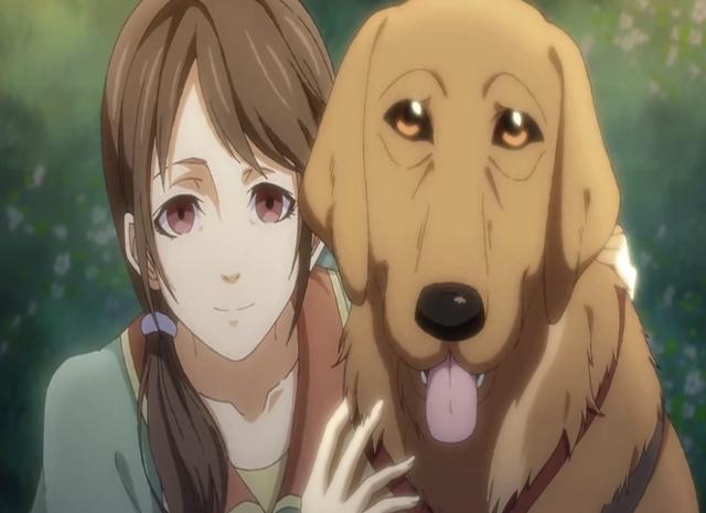 《历师》最终一集悲喜交加，堪称完美结局，但夕真是魔头吗？