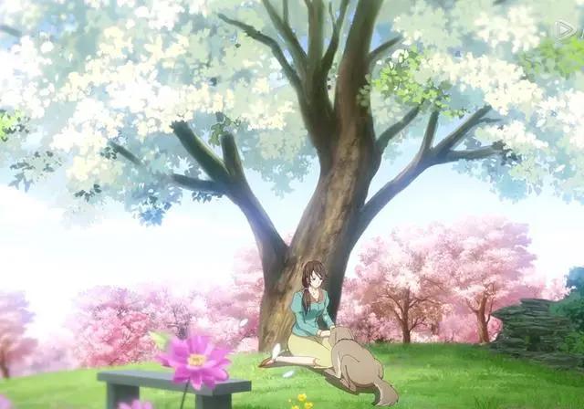 《历师》俊美的花朝登场，导盲犬故事很催泪，好看的动漫为何不火