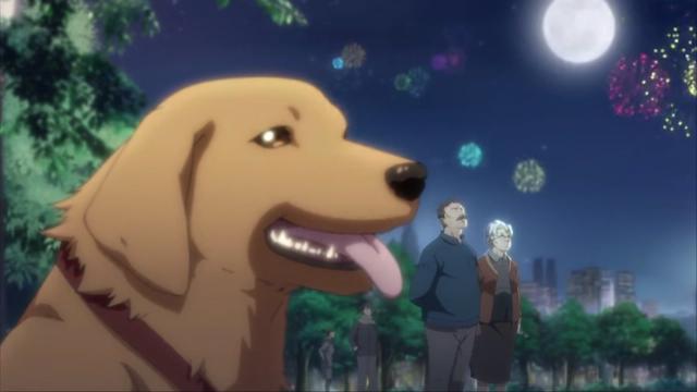 视美良心漫《历师》，有始有终，所有动漫都应该有一个结局