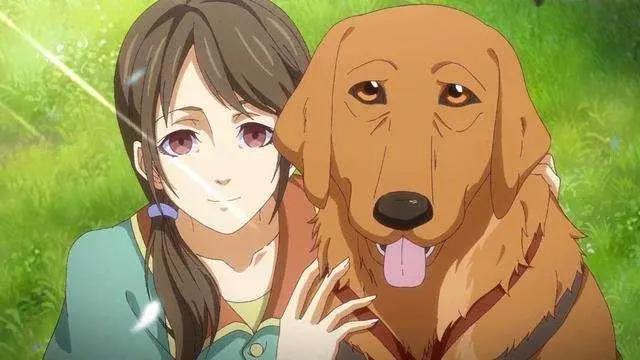 《历师》这部动漫你看了吗？面对时节，你记得多少？