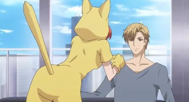 大明星爱猫成魔，签订“秘密合约”，整个衣柜全是猫咪装