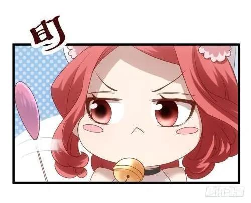 《麻辣女配》：“万年女配”逆袭娱乐圈的奋斗史