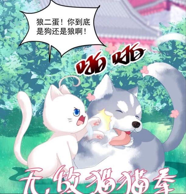 猫妖的诱惑：猫儿苏清寒曾经被其他男人摸过脚，搂过怀，舔过脸！