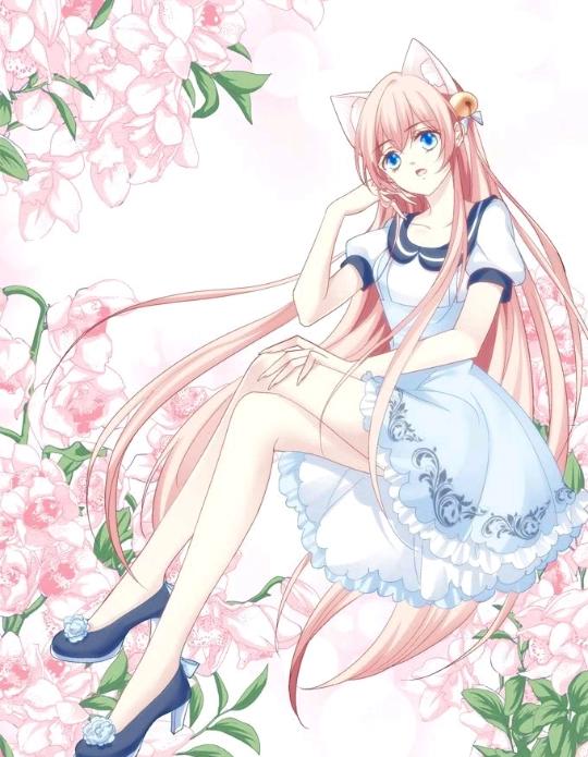 《猫妖的诱惑》第二季7月22上线，苏清寒和沈墨卿婚后生活开启！