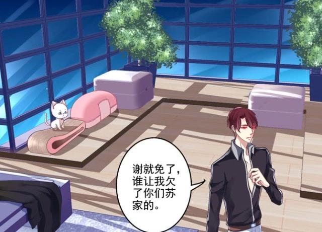 猫妖的诱惑：苏清寒真的是百变小猫女，公主，萝莉，花痴，男装！