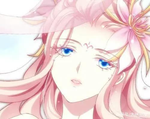 《猫妖的诱惑》被网友攻击继而停播，三个星期后却上演逆袭之路