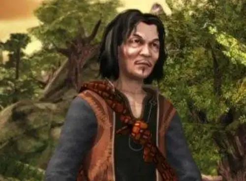 《侠岚》系列中的十大高手排行