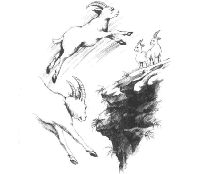 童书黑名单来了，内容涉嫌自杀色情暴力，合不合理你来定吧！