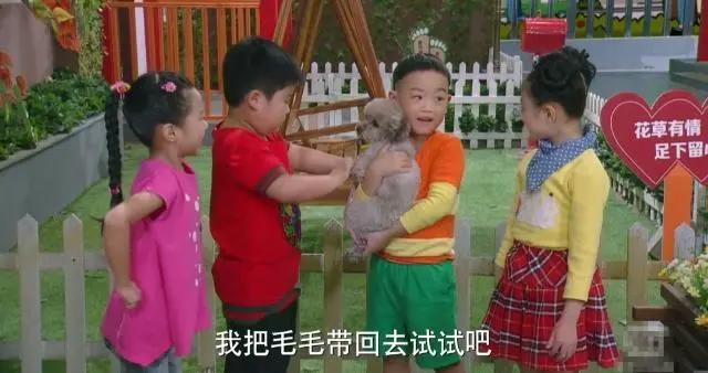 我看了《大头儿子》真人剧，没有老王，但发现国产漫改作品有救了