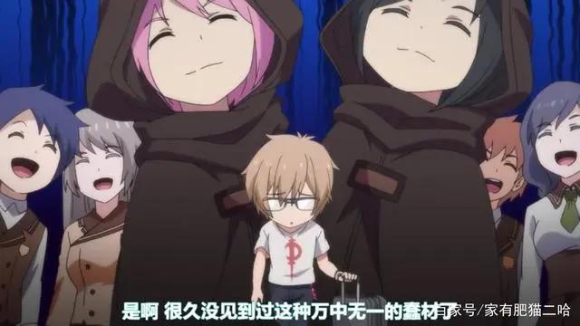 妖精种植手册：穿越异世，爽文，一起来看看吧！