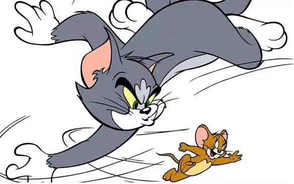 猫和老鼠：汤姆和杰瑞品种解析，杰瑞花枝鼠，汤姆有两个品种