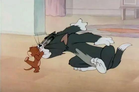 《猫和老鼠》：不是所有的猫和老鼠都是天敌，汤姆和杰瑞就很特别