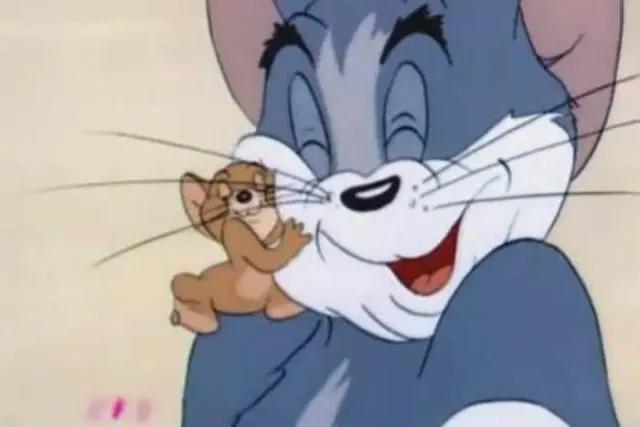 《猫和老鼠》：不是所有的猫和老鼠都是天敌，汤姆和杰瑞就很特别