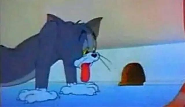 童年动画片《猫和老鼠》88年间，流传最多的5个结局，请自备纸巾