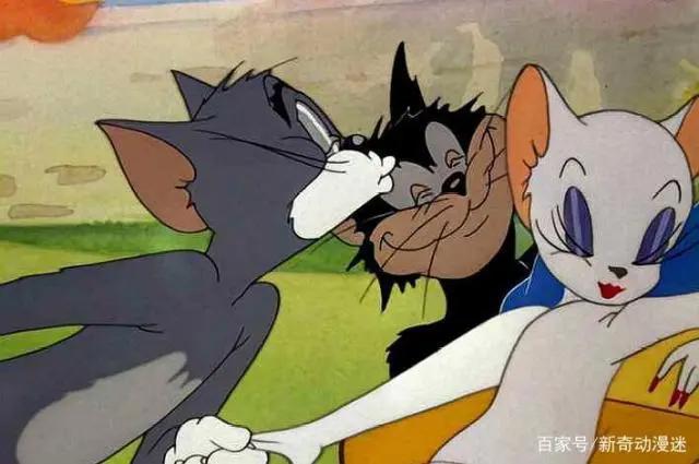 猫和老鼠：汤姆爱过的5只母猫，不惜倾家荡产，最后还是为情所困
