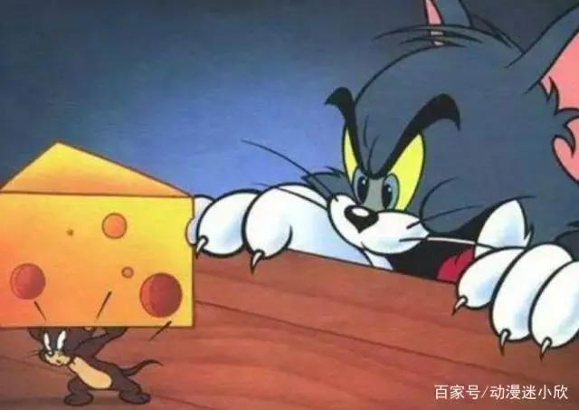 猫和老鼠九种版本，第六个猫和老鼠是好朋友，最后一个大家都看过