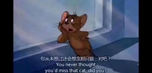 猫和老鼠（TomandJerry）：谈谈汤姆和杰瑞之间相爱相杀的故事