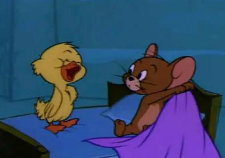 猫和老鼠：历史悠久的动画片，复杂的感情背后是长期以往的相处！