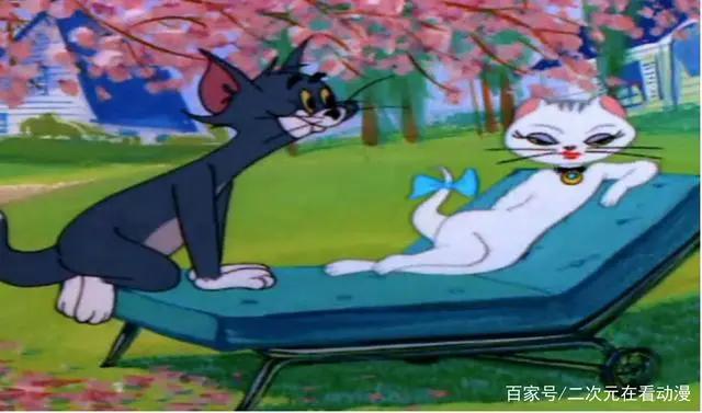 看了半辈子《猫和老鼠》，一部献给成人的动画，你看懂多少？