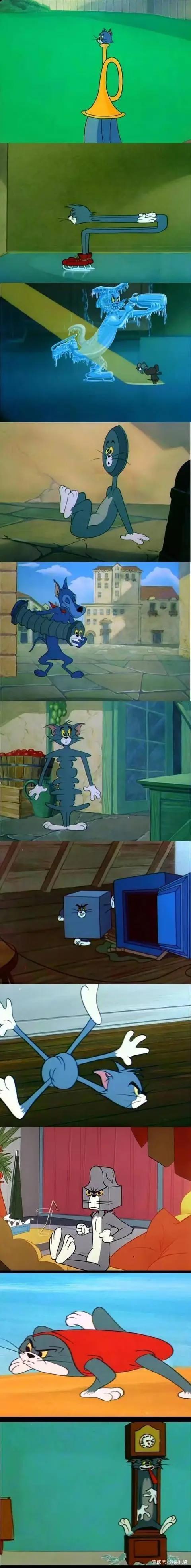 猫和老鼠｜一部既让观看者心疼，又因汤姆猫悲惨而内心舒适的动漫