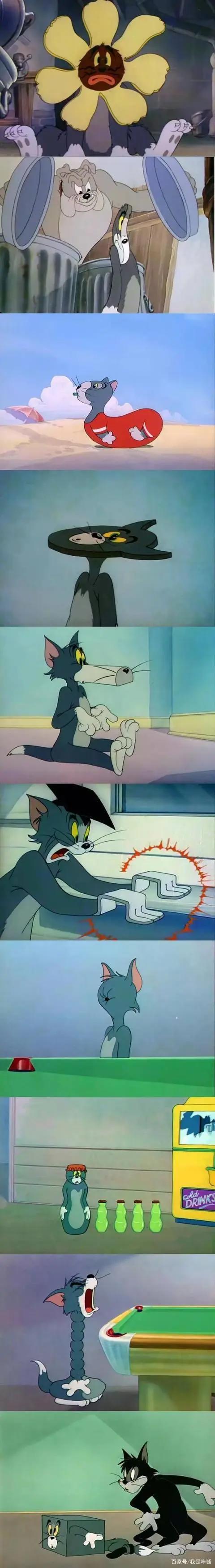 猫和老鼠｜一部既让观看者心疼，又因汤姆猫悲惨而内心舒适的动漫