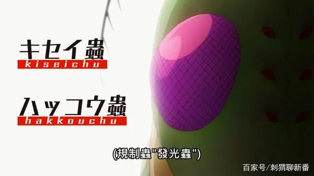 新番点评：弩级战队hxeros