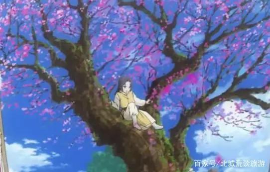 《帝王攻略》恭喜西南王迎娶皇上，新婚大日不让皇上吃饭，太逗了