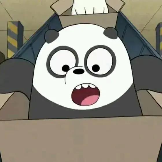 头像壁纸｜咱们裸熊“就算没了全世界，我们还有彼此”