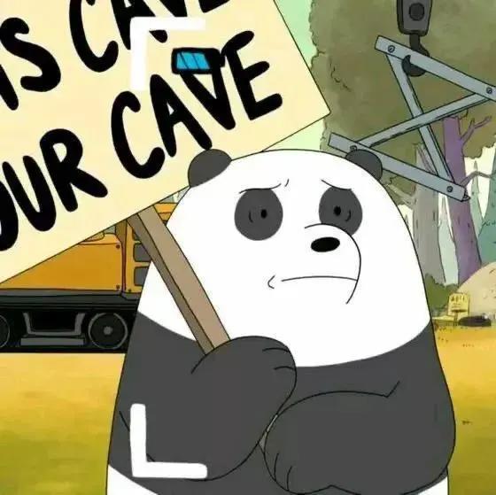 头像壁纸｜咱们裸熊“就算没了全世界，我们还有彼此”