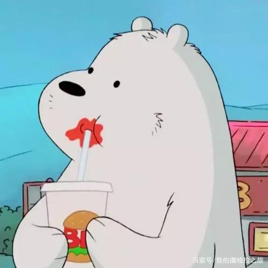 咱们裸熊是美国动漫，裸熊们相依为命，有的还会功夫和做饭呢