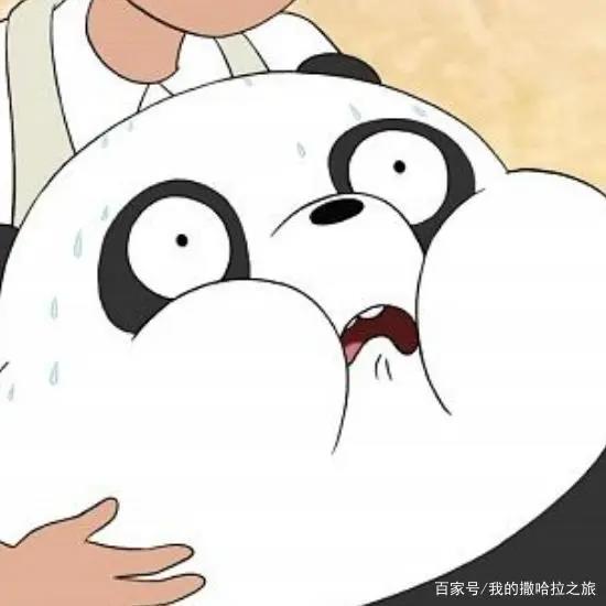 咱们裸熊是美国动漫，裸熊们相依为命，有的还会功夫和做饭呢