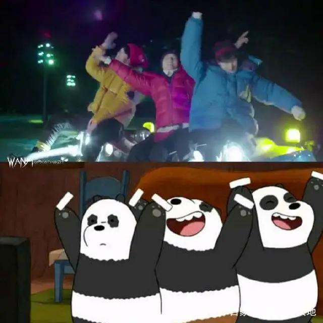 三小只史上最强cos：三个熊孩子简直就是《咱们裸熊》本熊了！