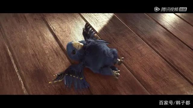 星辰变第二季归来，又添萌宠