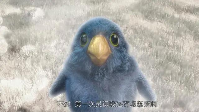 除了星辰变，这家制作公司还做过这么多国漫，你看过几部？