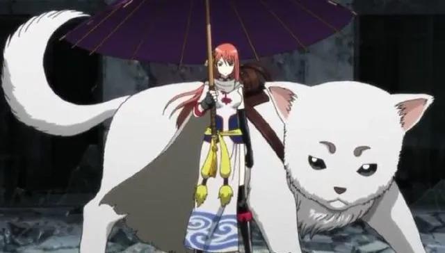 动漫向：新年旺旺旺！盘点动画中的狗