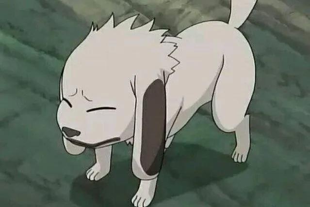 动漫向：新年旺旺旺！盘点动画中的狗